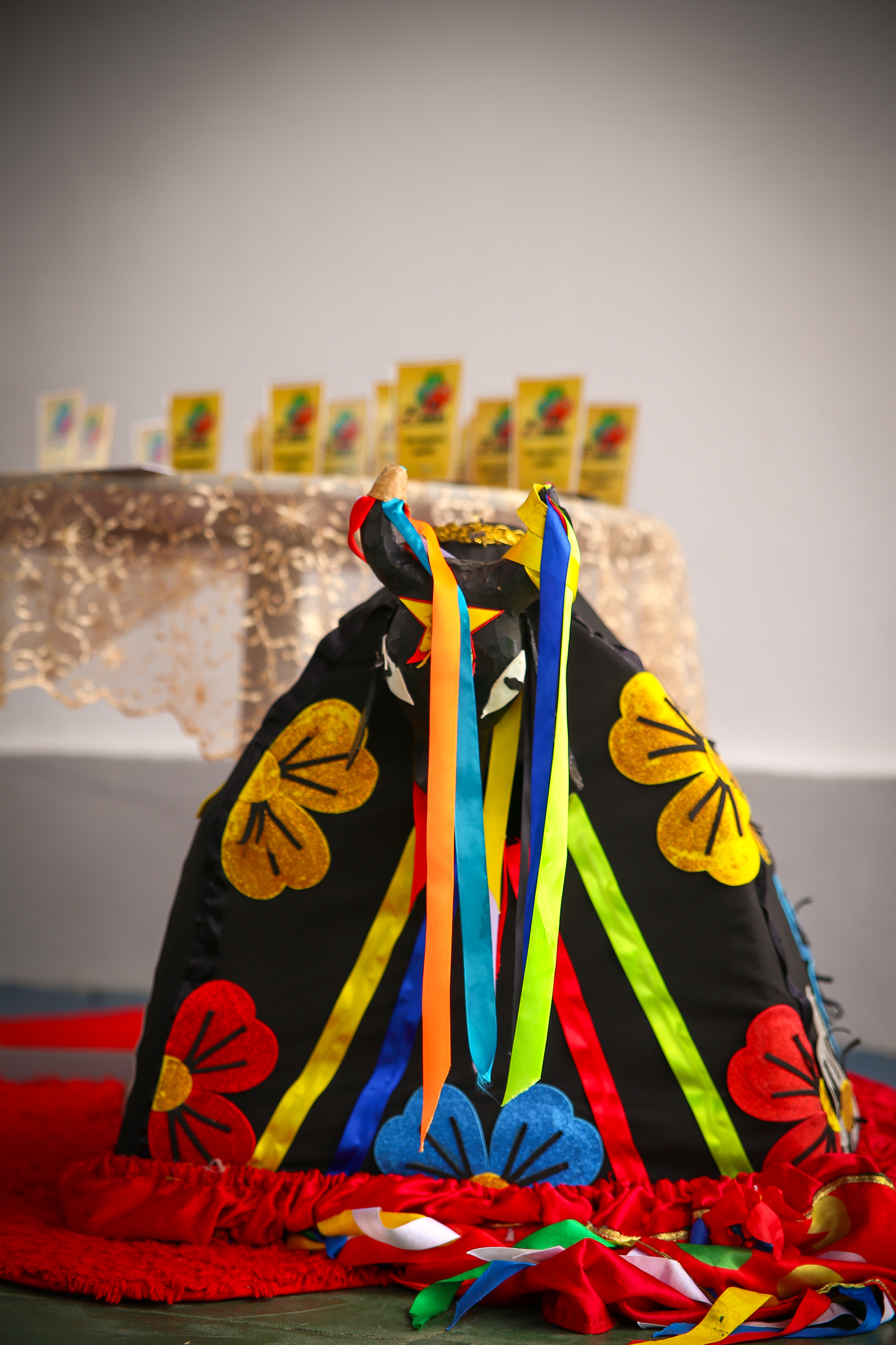 Evolução do Grupo Boi Catingueiro